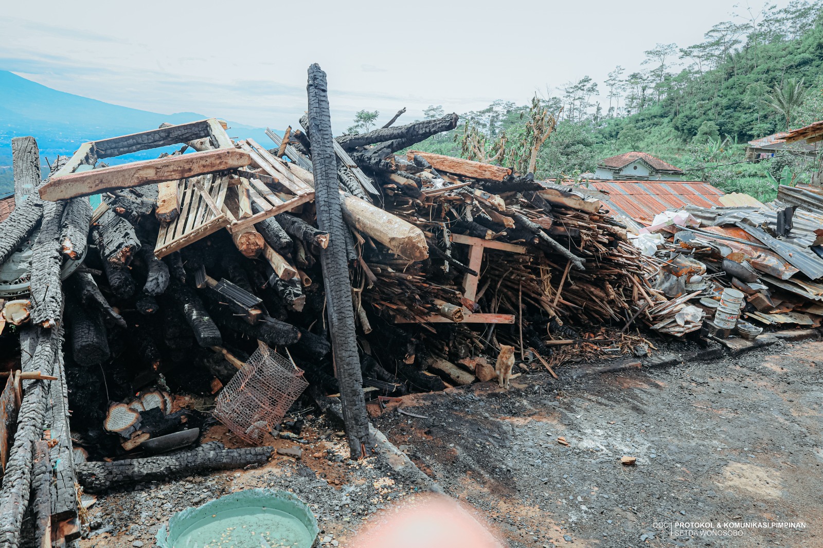 696dd6a99f60f_WhatsApp Image 2026-01-13 at 16.16.33 (1).jpeg