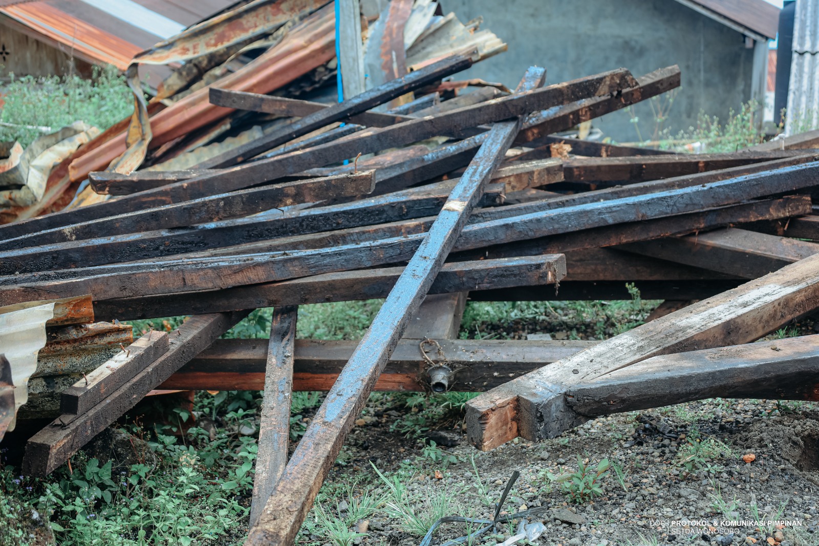 6972c477449ab_WhatsApp Image 2026-01-19 at 15.08.58.jpeg