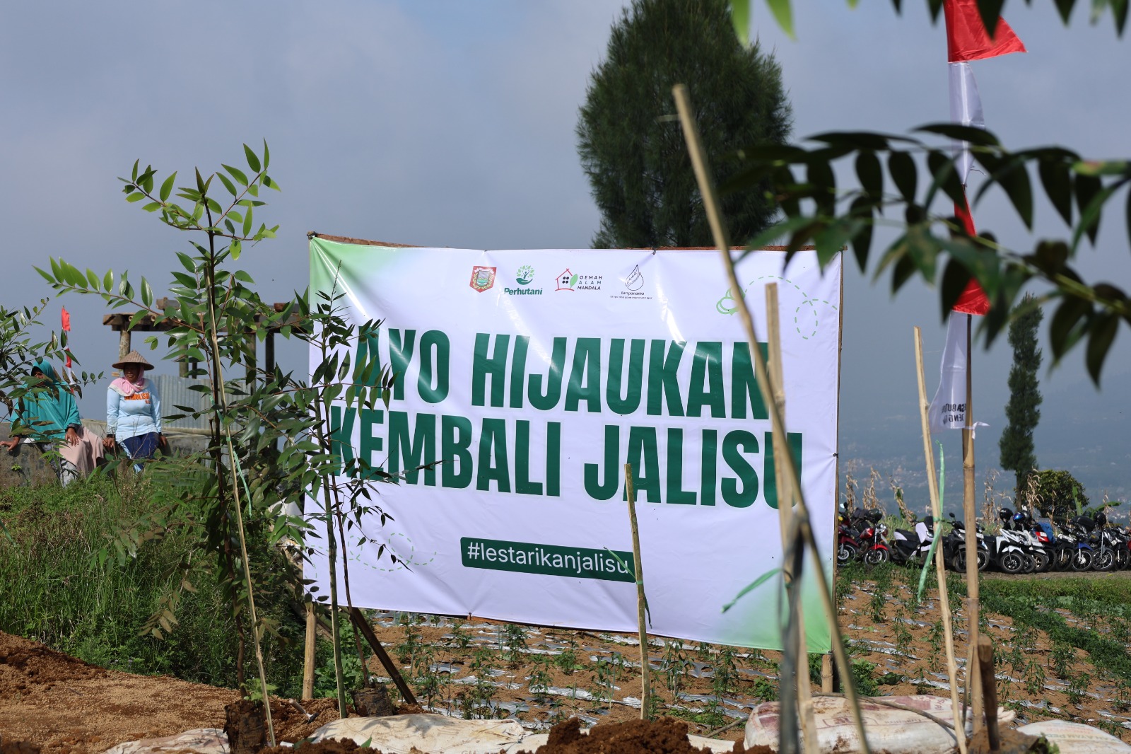 699bbdb2dc639_WhatsApp Image 2026-02-14 at 13.56.00 (2).jpeg