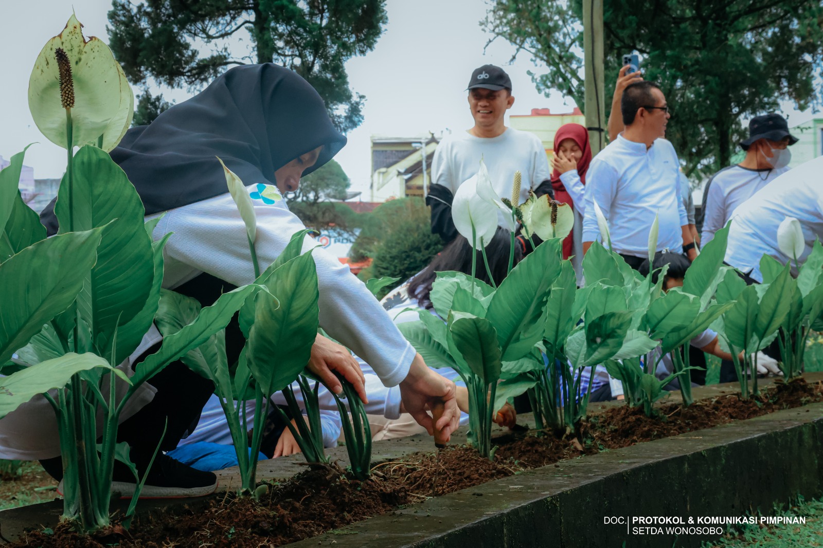 699e48ab674d8_WH64C9~1.JPE