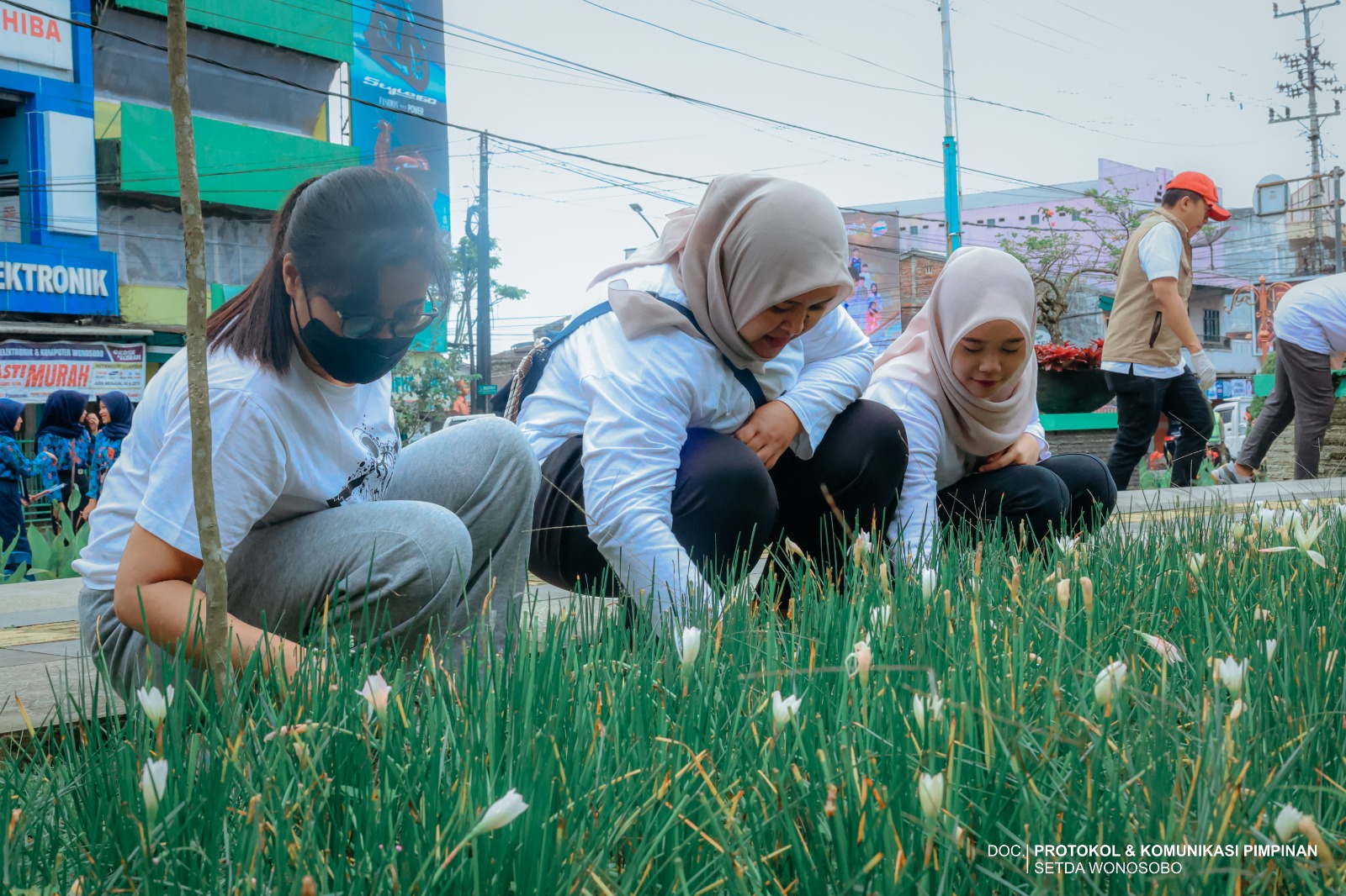 699e48ac35d1a_WH7698~1.JPE