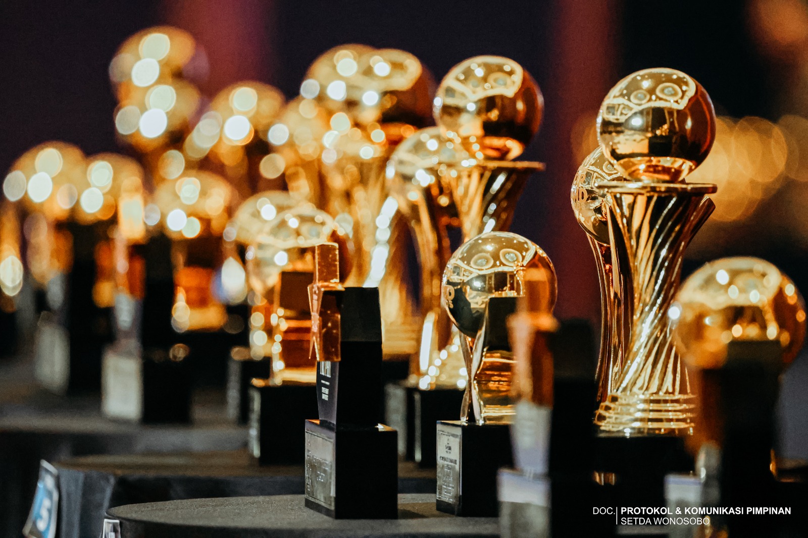 69dde84037115_WhatsApp Image 2026-04-14 at 04.26.46.jpeg