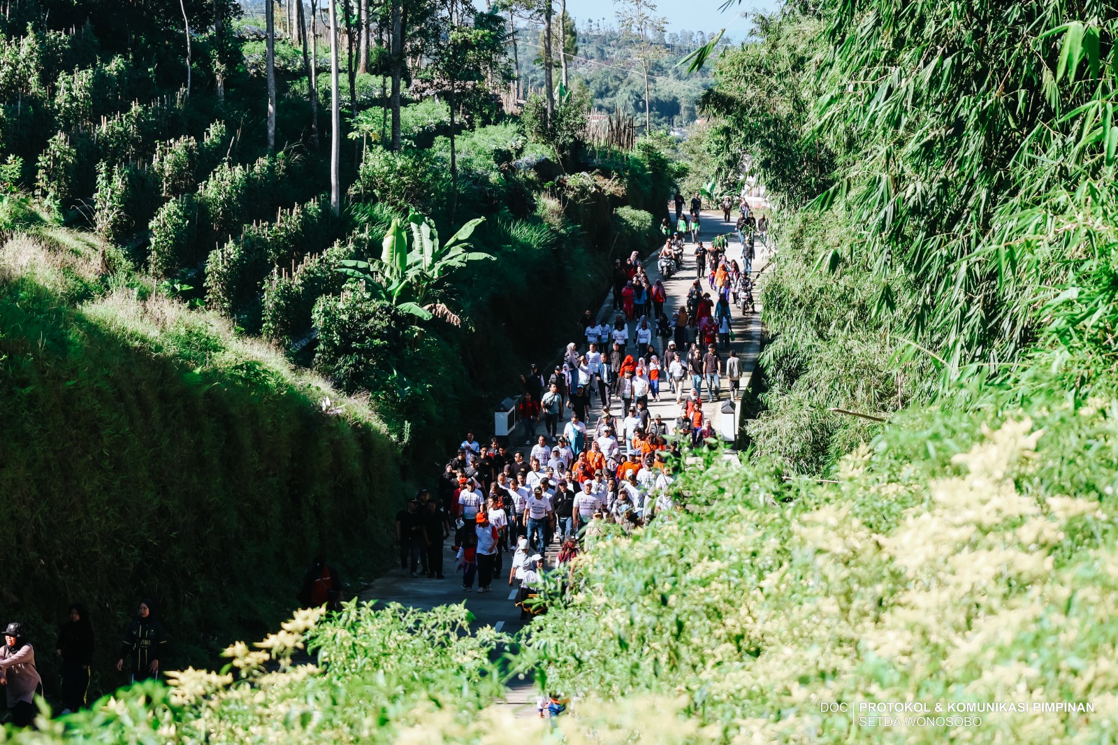 69f01c0d4be4f_WhatsApp Image 2026-04-24 at 11.41.03.jpeg