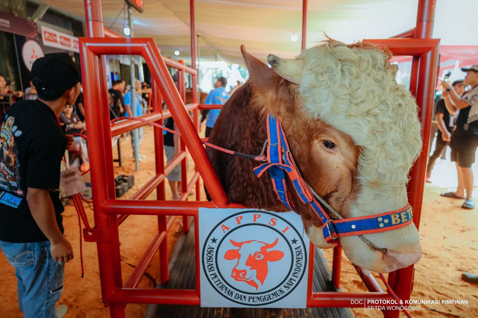 69f01c4ab1717_WhatsApp Image 2026-04-25 at 16.05.09.jpeg